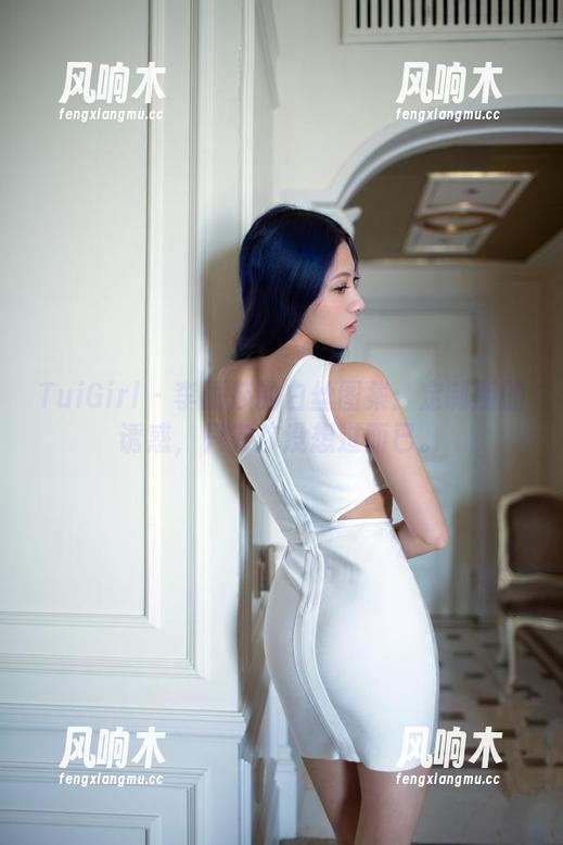 TuiGirl - 李丽莎的白丝图集：定制版的诱惑，只有你没想过而已。