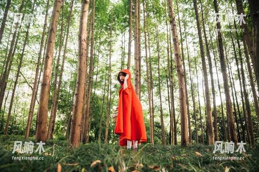 图集快来，奈汐酱Nice老板娘4.0下载不走心谁来爱？