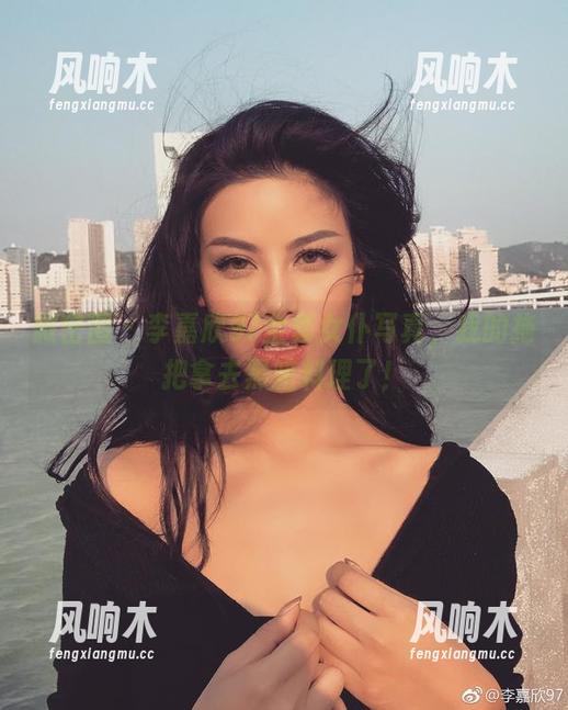 微密圈 - 李嘉欣97全套女仆写真，我的拖把拿去黑暗料理了！