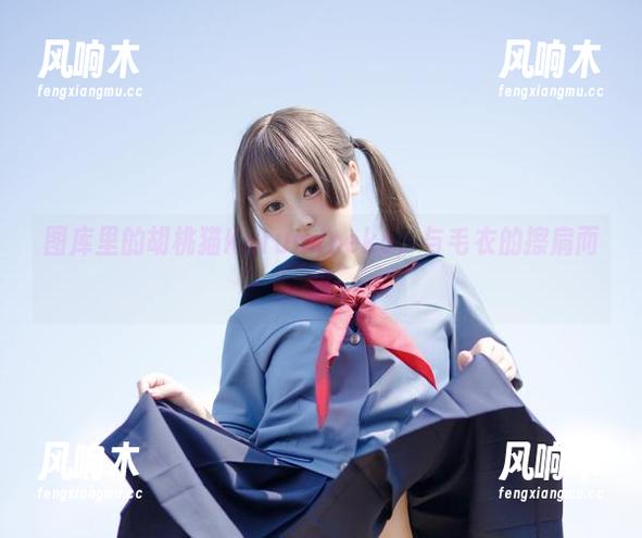 图库里的胡桃猫Kurumineko，与毛衣的擦肩而过